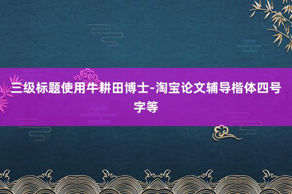三级标题使用牛耕田博士-淘宝论文辅导楷体四号字等